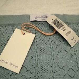 Aritzia Little Moon Blue Midi Skirt
